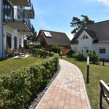 Kleine Robbe Glowe